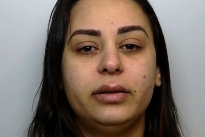 Woman who posed as sex worker and drugged men admits manslaughter of two victims