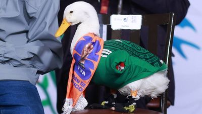 Dancing King, Invisible Spies and a Duck: Nine Fun Stories From 2026 World Cup Week Two