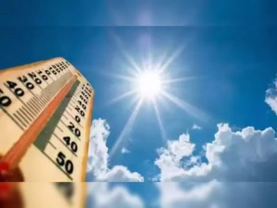 Dangerous humid heat days in India increase due to climate change: Analysis