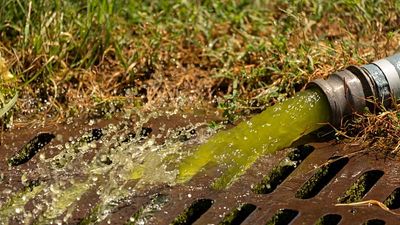Trump vs algae: Viral reactions as fencing goes up around Lincoln Memorial Reflecting Pool