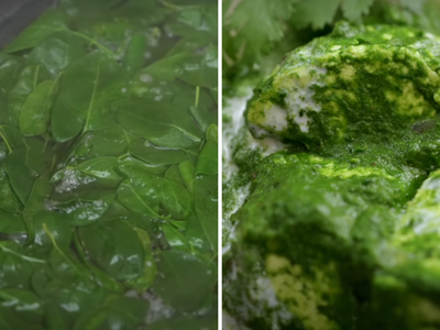 Chef Kunal Kapur shares protein-rich palak tofu curry: A healthy spin on classic palak paneer, here’s how to make it at home