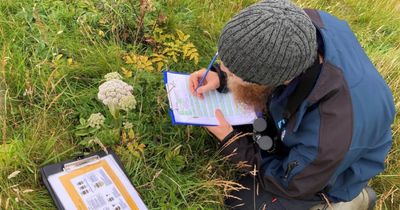 Majority of RSPB Scotland staff to be impacted by planned cuts, leaked files show