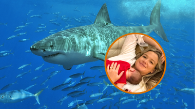 Mom attacked by great white shark awakens from coma and says three simple words