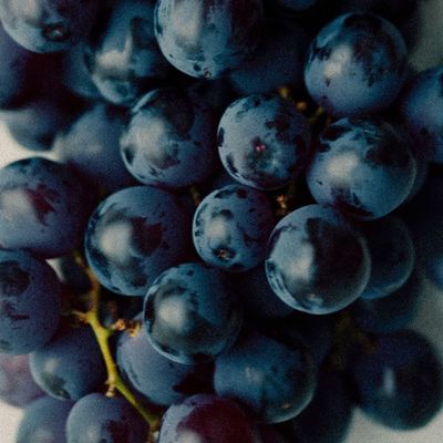 I Asked Top Longevity Experts How They Reduce Inflammation—Not One Mentioned Green Juice