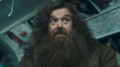 Nick Frost Knows Some Harry Potter Fans Won't Like His Hagrid