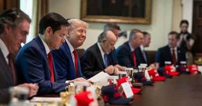 GOP Insider Warns Trump's 'Young Henchmen' Are Plotting Permanent Power: 'The Deep State Firings Have Begun'