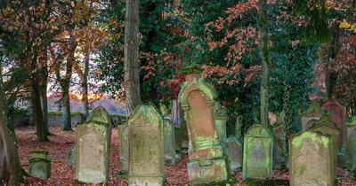 Hungarian 'Cannibal' Hospital Worker 'Prepared Food From Corpses' After Raiding Graves and Morgues