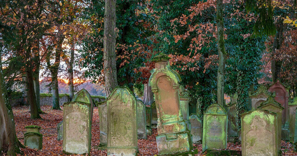 Hungarian 'Cannibal' Hospital Worker 'Prepared Food From Corpses' After Raiding Graves and Morgues