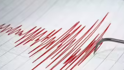 5.6 magnitude earthquake strikes northern California