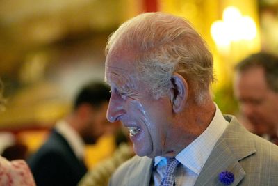 King Charles is fanned by aides as he feels the heat at climate event