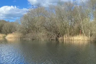 Emergency services launch search operation after boy, 15, goes missing while swimming in lake