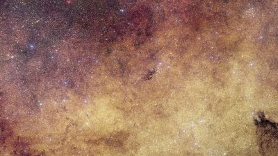 60 million stars: Euclid space telescope snaps the largest-ever close-up photo of the Milky Way's heart