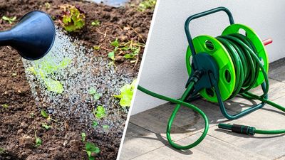 Garden expert issues warning about the 'unspoken danger' of watering your garden during extreme hot weather