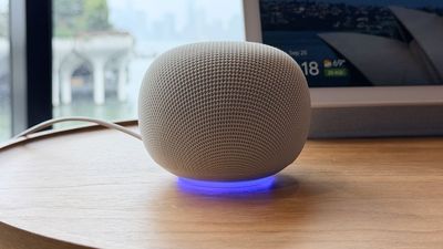 ‘A nightmare for repairability’: Early Google Home Speaker unboxing reveals design choice that many users won't be happy with