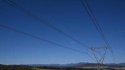 Battery bonanza reshaping grid transition game plan