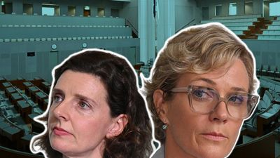'Crossroads': Teal MPs form new political party
