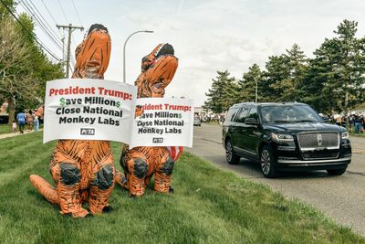RFK Jr.’s moves on animal testing spur Capitol Hill action