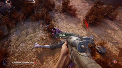 How to find Coral Chunks and Weird Coral in Sand Raiders of Sophie