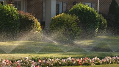 Should You Water Your Lawn at Night? Experts Reveal the Truth to Save Your Grass in a Heatwave