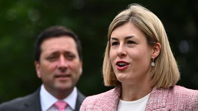 Liberal leader responds to party assault allegation