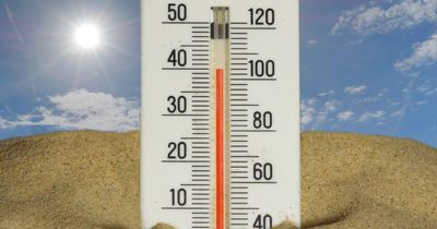 Britain Erupts as Over 1,000 Schools Close in the Heatwave and Leave Working Parents in Chaos: 'We Are Breeding a Nation of Melts'