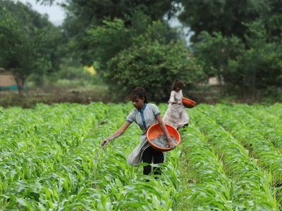 El Niño is set to further disrupt India's $300 billion farm supply chain