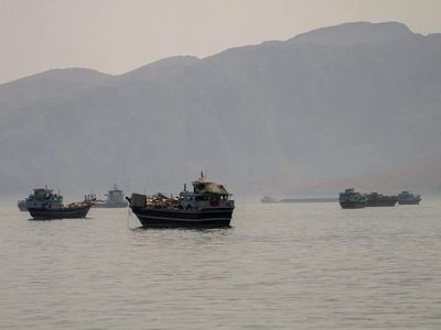 Traffic flows through Hormuz continue to improve as IMO evacuation begins: Monitor