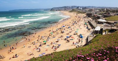 'I'm ashamed of it': man pleads guilty to Nazi prison tattoo beach display