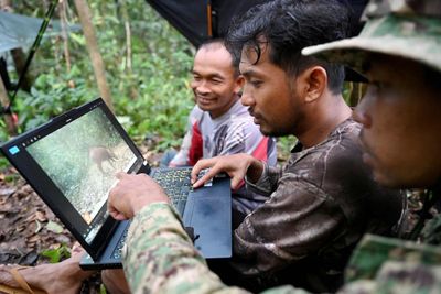 Cameras and AI reveal rare wildlife in Cambodia