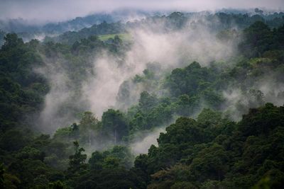 Papua New Guinea at risk of food shortages as El Niño brings frost and drought