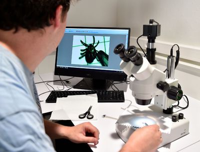 Lyme Disease Is Spreading into States That Rarely Saw It Before — Is Your County at Risk?