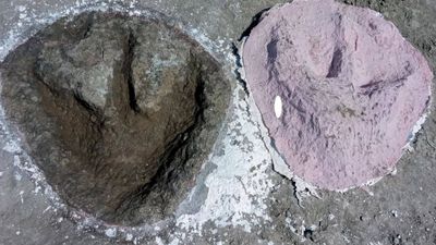 166-million-year-old Jurassic dinosaur highway discovered beneath a British quarry