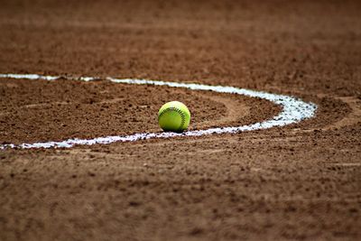 College Softball Coach Sacked Following Explosive Allegations of Trying To Sleep With Multiple Student-Athletes
