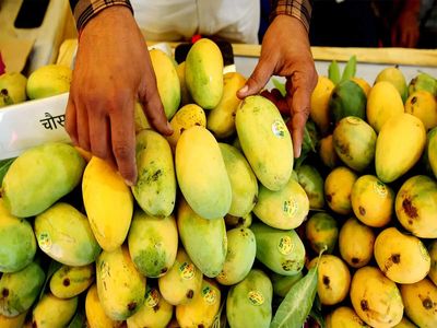 Govt facilitates shipment of Banganapalle mangoes to Singapore, farmers earn twice of domestic price