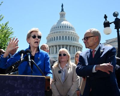 Elizabeth Warren says ‘tsunami of anger’ could prompt reversal of Trump-era mega mergers