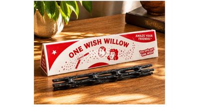 The One Wish Willow: How a Fictional Horror Prop Became an Internet Obsession