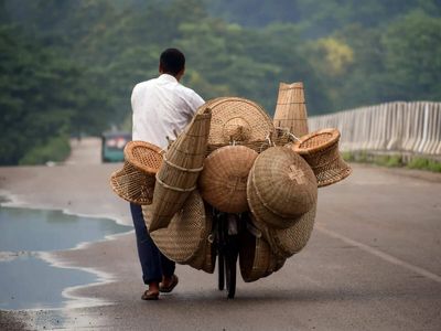 ADB approves USD 42.2 mln loan to boost bamboo industry in northeast region