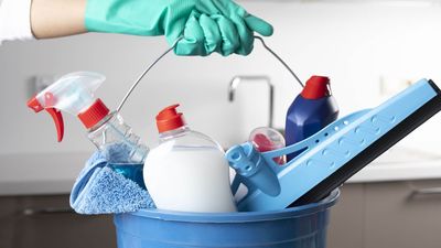 This AI startup is offering New Yorkers free house cleaning — but there's a catch
