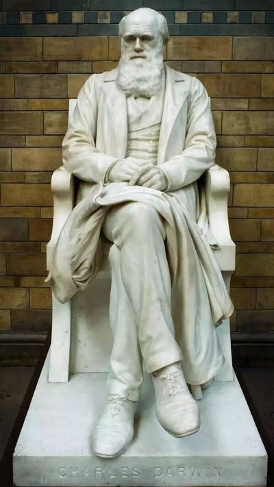 Best quote of the day by Charles Darwin: "Intelligence is based on how efficient a species became at doing the things they need to..." - Eye-opening life lessons on why surviving life's challenges begins with learning, adapting, and growing continuously