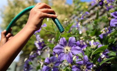 Hosepipe ban closes in on London as millions in commuter belt under water restrictions
