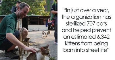 ‘Cats Of Penang’ Shows What Can Happen When Cat Lovers Organize Around One Goal