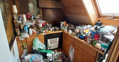 New York Girl Aged Three Dies From Severe Neglect After Hoarding Parents Leave Her in Horrific Lice Infestation
