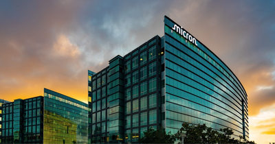 15x Profit Explosion: Micron's 346% Revenue Leap Silences AI Bubble Panic After Global Crash