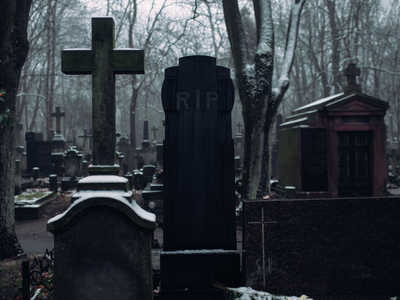 A nearly 200-year-old cemetery comes alive after dark, where the dead share space with frogs, toads, and the scientists listening to them