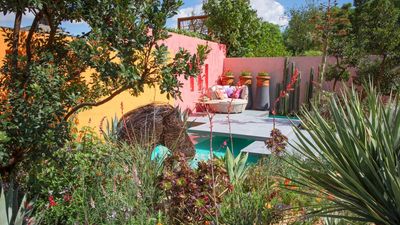 How Different Colors Change How Your Garden Feels, According to Color Psychology — From Party Zones to Restorative Spaces