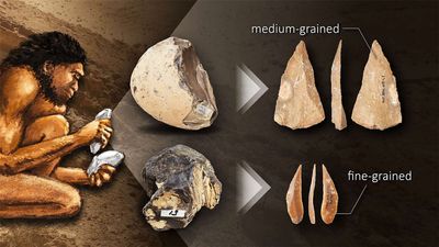 A 780,000-year-old tool secret is changing what we know about early humans