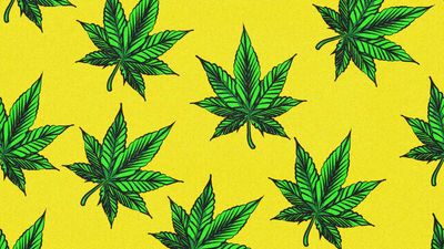 Lawsuit Argues Hawaii's Harsh New Hemp Regulations Will Stifle Competition