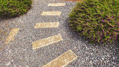 The Gardening Trend That’s Replacing Expensive Landscaping