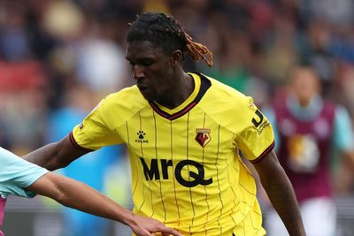Ex-Watford player hit with lengthy FA ban for racially abusing team-mate