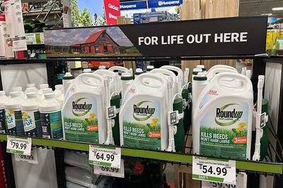 Supreme Court sides with Monsanto over cancer warning
